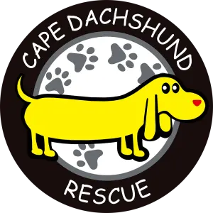 Cape Daschund Rescue